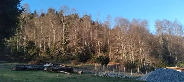Parcela en venta en Villarrica
