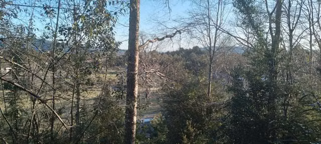 Parcela en venta en Villarrica