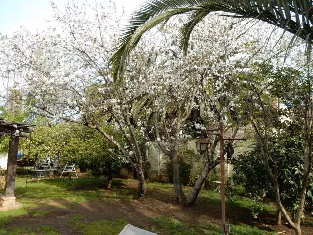 Casa en venta en Talca - Imagen 24