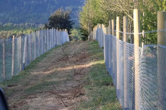Parcela en venta en Villarrica