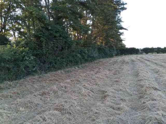 Parcela en venta en Maule