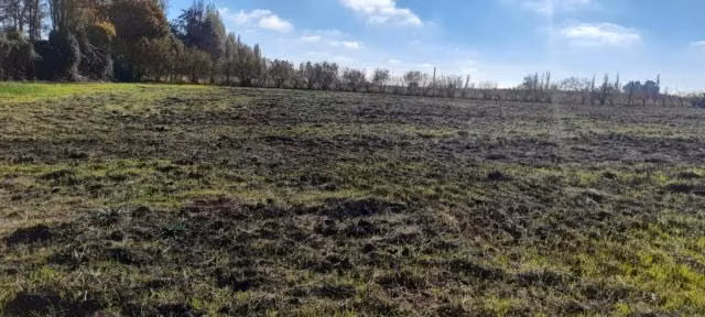 Parcela en venta en Maule