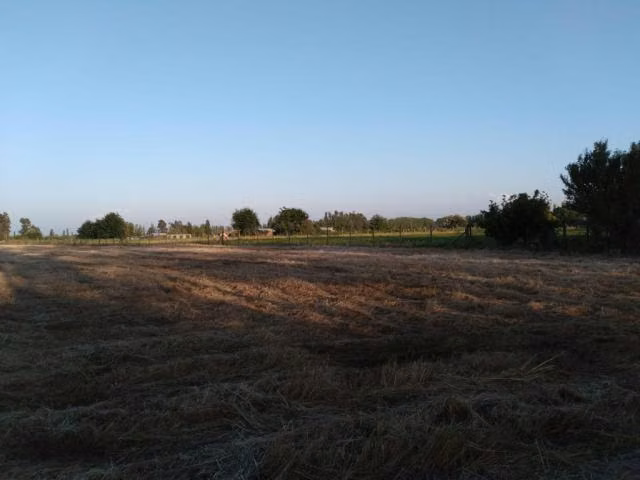 Parcela en venta en Maule