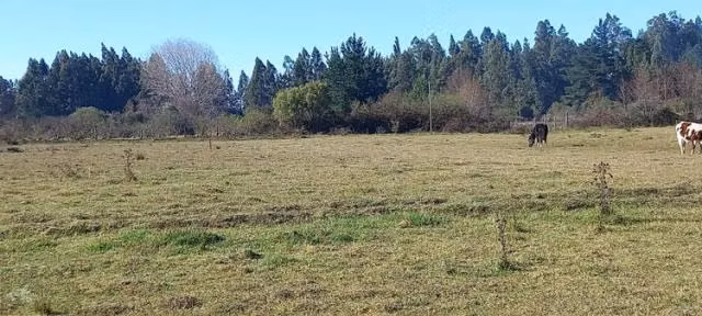 Parcela en venta en San Carlos - Imagen 5