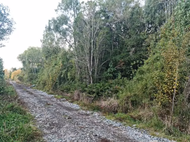 Parcela en venta en Villarrica