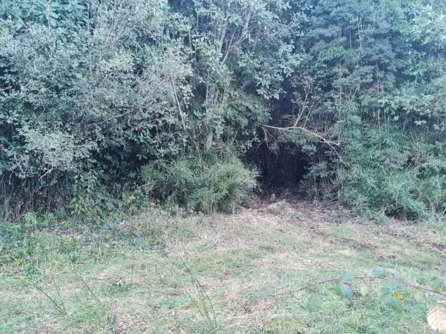 Parcela en venta en Villarrica