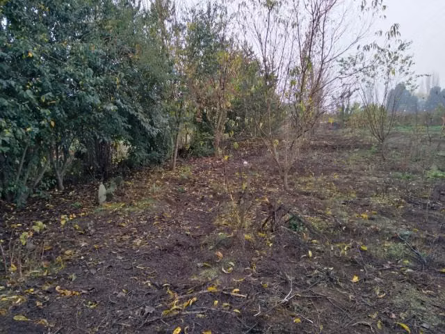 Parcela en venta en Linares - Imagen 17