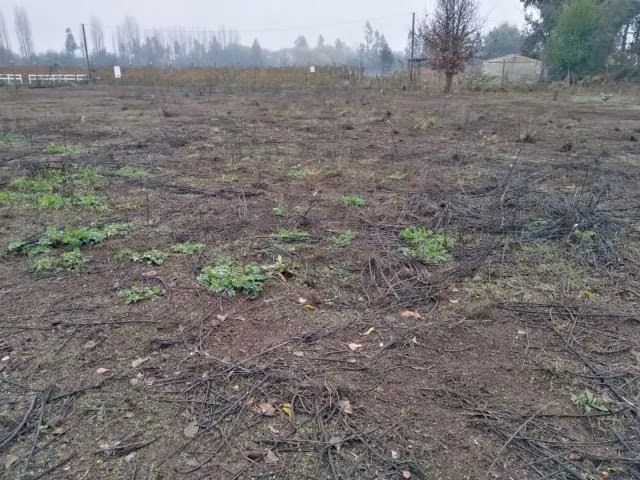 Parcela en venta en Linares - Imagen 28
