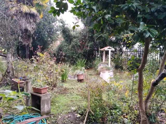 Parcela en venta en Linares - Imagen 36