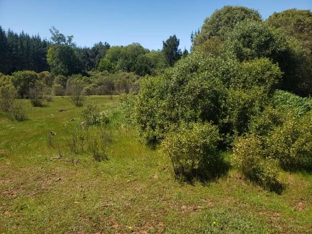 Parcela en arriendo en Parral