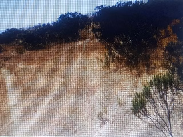 Parcela en venta en Paredones - Imagen 4