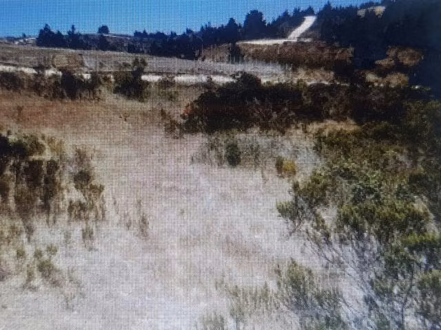 Parcela en venta en Paredones - Imagen 5