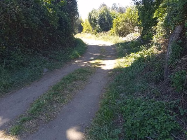 Parcela en venta en Yerbas Buenas