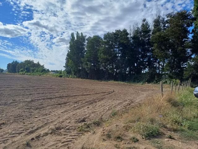 Parcela en venta en Yerbas Buenas