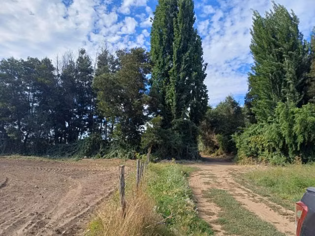 Parcela en venta en Yerbas Buenas