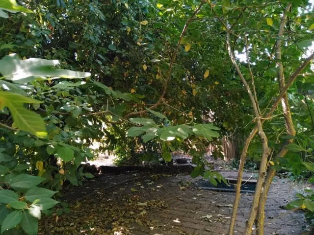 Casa en venta en Talca - Imagen 22