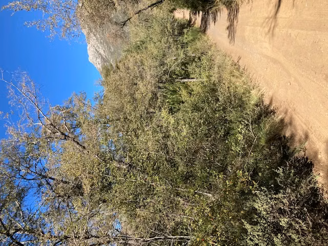 Parcela en venta en Pinto
