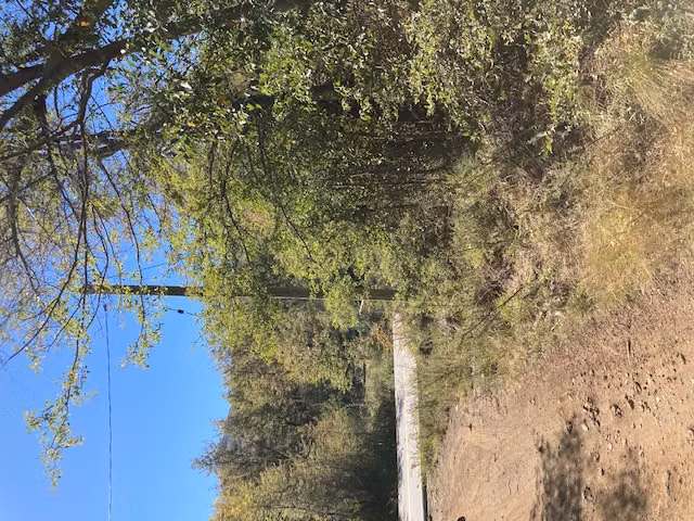 Parcela en venta en Pinto - Imagen 4