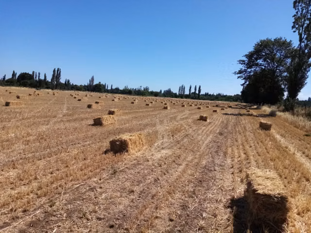 Parcela en venta en Coihueco