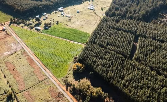 Parcela en venta en Pinto