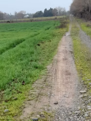Parcela en venta en San Carlos