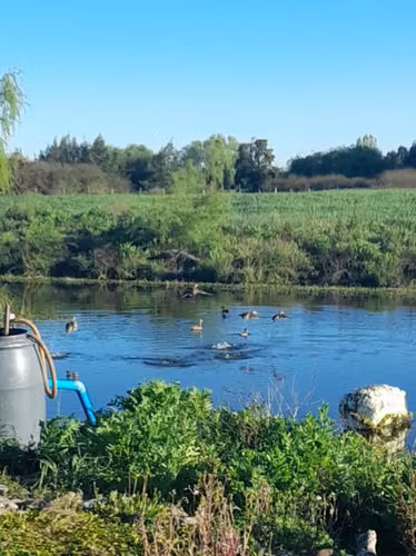Parcela en venta en San Carlos