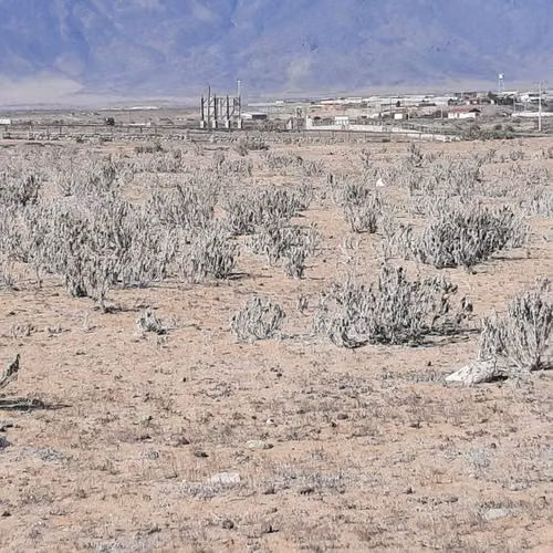 Parcela en venta en La Higuera