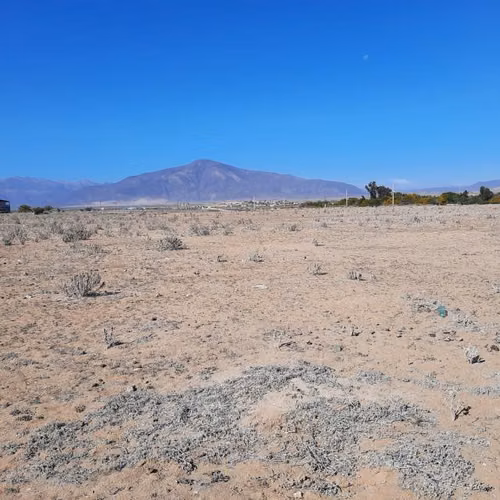 Parcela en venta en La Higuera