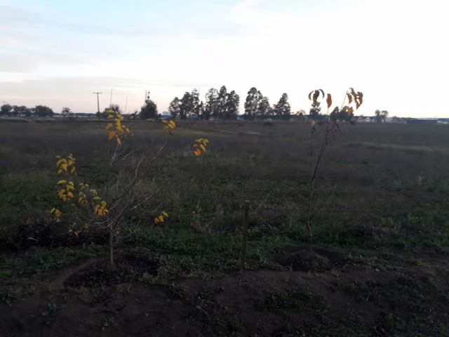 Sitio en venta en Talca