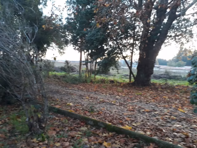 Sitio en venta en Talca