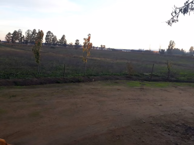 Sitio en venta en Talca