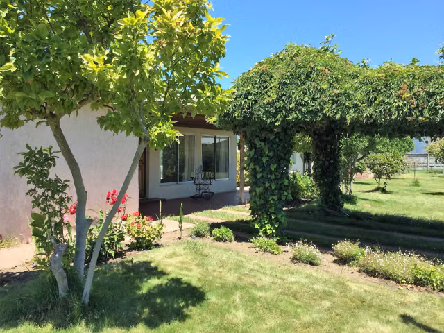 Parcela en venta en Quillón - Imagen 6