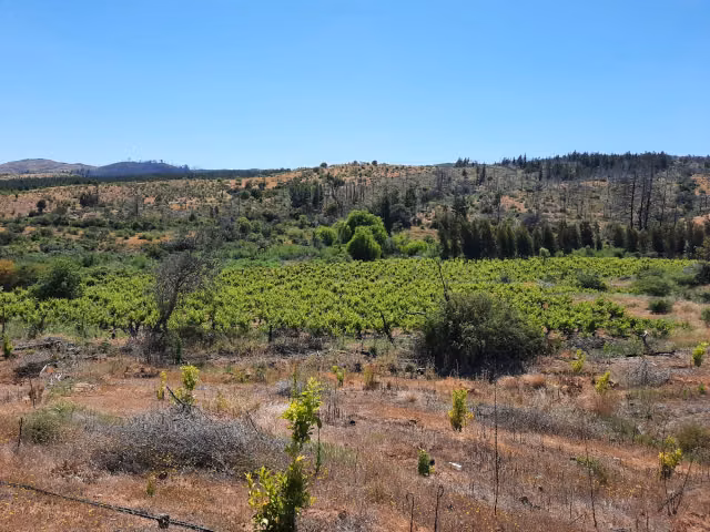 Parcela en venta en Empedrado