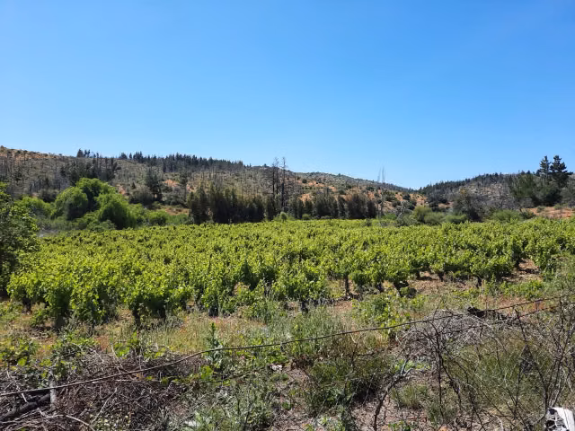 Parcela en venta en Empedrado