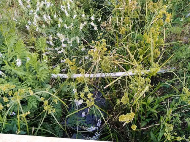 Parcela en venta en Río Claro
