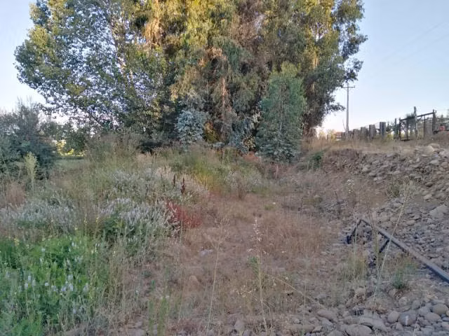 Parcela en venta en Río Claro