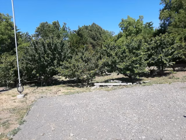 Parcela en venta en Quillón - Imagen 19