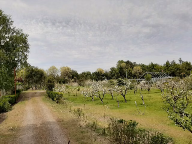 Parcela en venta en Quillón - Imagen 12
