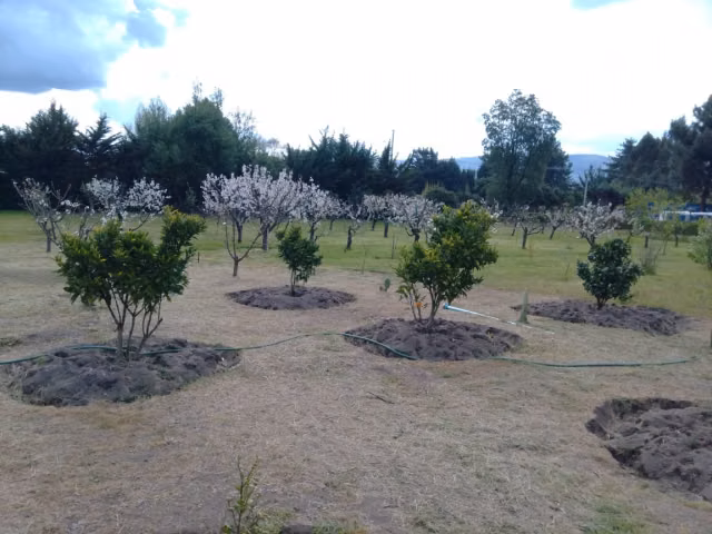 Parcela en venta en Quillón - Imagen 16
