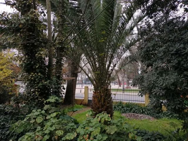 Sitio en venta en Chillán Viejo