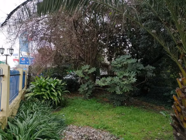 Sitio en venta en Chillán Viejo