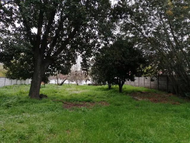 Sitio en venta en Chillán Viejo