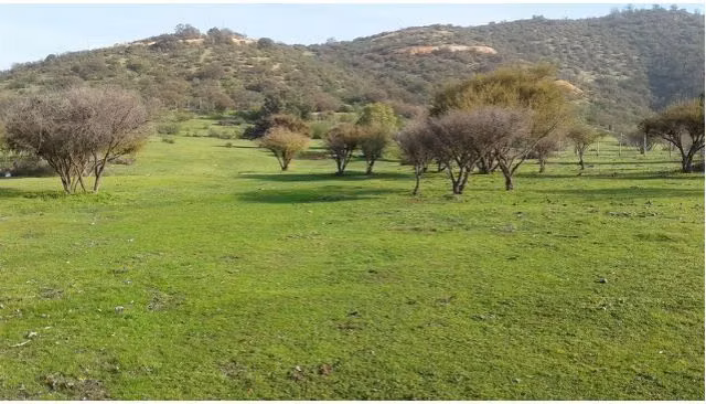Parcela en venta en Melipilla