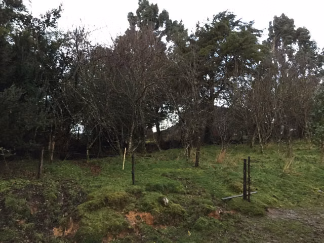 Casa en venta en Ancud