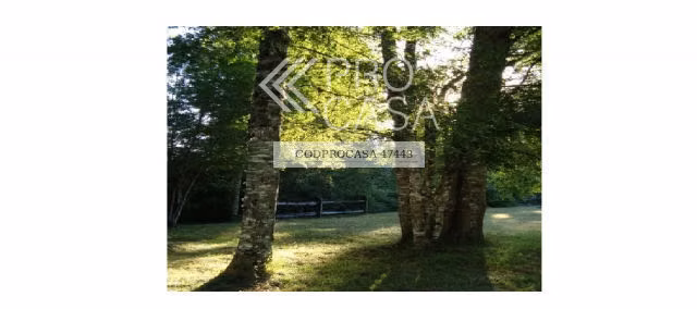 Parcela en venta en Los lagos