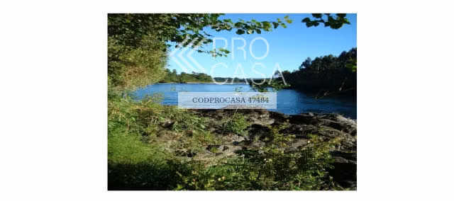 Parcela en venta en Los lagos