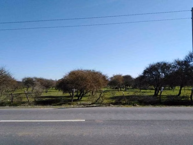 Terreno precioso en Lolol