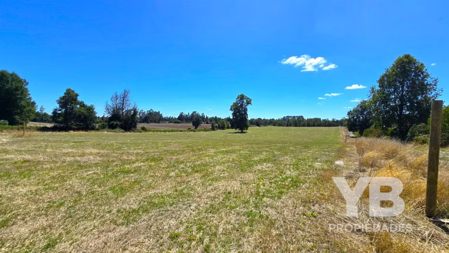 Venta Parcelas Villarrica Quinta Faja
