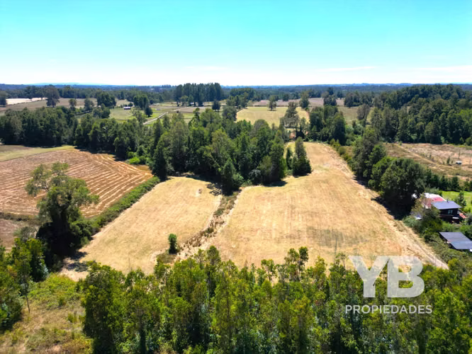 Venta Parcelas Villarrica Quinta Faja