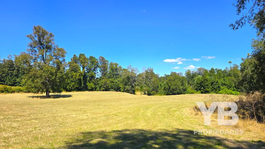 Venta Parcelas Villarrica Quinta Faja